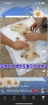 무안군무안 유기동물 보호소 관리 제대로 안합니까? 무안 유기동물 보호소 관리 제대로 안합니까?
