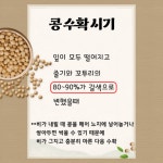 콩 수확 전 후 이렇게 관리하세요 - 농업기술센터 콩 수확 전 후 이렇게 관리하세요