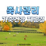 축사관리 가축건강 지름길 - 농업기술센터 축사관리 가축건강 지름길