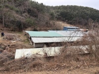 무안군 불법 식용 개농장 처리부탁드립니다. - 열린군수실 무안군 불법 식용 개농장 처리부탁드립니다.