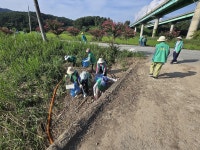 무안군 몽탄면, 수해 입은 대치천 정화활동 나서 - 열린군수실 무안군 몽탄면, 수해 입은 대치천 정화활동 나서