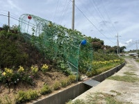 무안군 청계면 대곡마을, 주민 주도의 마을 경관개선 - 무안군청 무안군 청계면 대곡마을, 주민 주도의 마을 경관개선