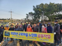 청계면, 구로경로당 공동작업장 첫 땅두릅 수확 - 무안군청 청계면, 구로경로당 공동작업장 첫 땅두릅 수확