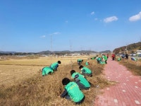 일로읍 새마을남녀협의회, 백련길 건강생활도로 환경정비 - 무안군청 일로읍 새마을남녀협의회, 백련길 건강생활도로 환경정비