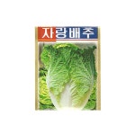 배추씨앗-문구랜드 배추씨앗