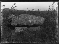 인천강화 하도리 1호 지석묘 이미지 - 확대 팝업 페이지