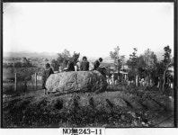 대구중구 월견산 제3호 지석묘 | 소장품 검색:국립중앙박물관 대구중구 월견산 제3호 지석묘 | 소장품 검색