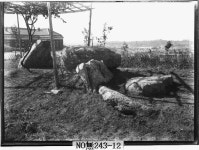 대구중구 월견산 제1호 지석묘 | 소장품 검색:국립중앙박물관 대구중구 월견산 제1호 지석묘 | 소장품 검색