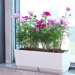 회원 로그인 My Plant [엎드린 고양이 화분]