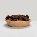 포콘 바크 40L - 마이플랜트