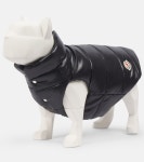 Moncler Poldo Dog Couture dog coat in black - Moncler | Mytheresa