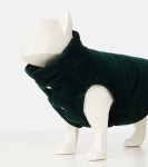 그린 리버서블 코듀로이 도그 코트 - Gucci | Mytheresa