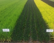 내외신문 : 전국뉴스 > 5703 페이지