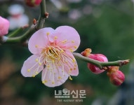 내외신문 : 전체기사 > 25 페이지