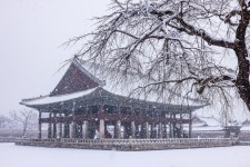 (오늘의 시) 껍데기를 벗는다 / 박용진 시인:내외신문 ≪내외신문≫ (오늘의 시) 껍데기를 벗는다 / 박용진 시인