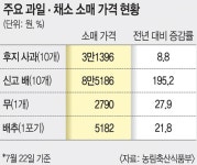 장마로 인한 농산물 가격 급등...문제는 장마 끝나고 오는 태풍:내외신문 ≪내외신문≫ 장마로 인한 농산물 가격 급등...문제는 장마 끝나고 오는... 
