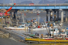 [6.3 인천 남동구] 인천 산업의 심장, 남동구의 대전환… “산단 혁신... 3 인천 남동구] 인천 산업의 심장, 남동구의 대전환… “산단 혁신·소래... 