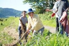 25.07.27 지석천 꽃단지 환경정화 활동 - 365일 열린시장실 25.07.27 지석천 꽃단지 환경정화 활동