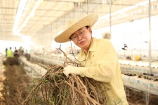 25.07.25 동강면 대지리 봉사활동 - 365일 열린시장실 25.07.25 동강면 대지리 봉사활동