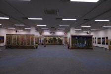 제1전시실 - 나주문화예술회관 제1전시실 