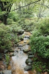 간석동-관모산 내용 | 남동구청 남동 사진첩>남동구 이모저모 간석동-관모산  내용 | 남동구청 남동 사진첩>남동구 이모저모