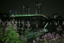 간석동-해넘이다리 내용 | 남동구청 남동 사진첩>남동구 이모저모 간석동-해넘이다리  내용 | 남동구청 남동 사진첩>남동구 이모저모
