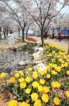 구월동-중앙공원 내용 | 남동구청 남동 사진첩>남동구 이모저모 구월동-중앙공원  내용 | 남동구청 남동 사진첩>남동구 이모저모