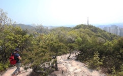 간석동-만월산 내용 | 남동구청 남동 사진첩>남동구 이모저모 간석동-만월산  내용 | 남동구청 남동 사진첩>남동구 이모저모
