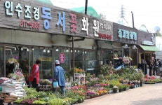 도림동-남동화훼단지 내용 | 남동구청 남동 사진첩>남동구 이모저모 도림동-남동화훼단지  내용 | 남동구청 남동 사진첩>남동구 이모저모