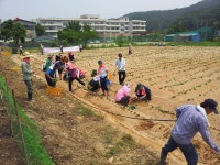 행사앨범-자매결연지 농촌체험 봉사활동 내용 | 남동구청 행정복지센터>구월1동>우리동소식 행사앨범-자매결연지 농촌체험 봉사활동  내용... 