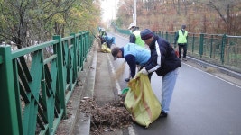 행사앨범-논현2동 환경정비 내용 | 남동구청 행정복지센터>구월1동>우리동소식 행사앨범-논현2동 환경정비  내용 | 남동구청 행정복지센터... 