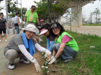 내용 | 남동구청 행정복지센터>구월1동>우리동소식 행사앨범-[논현1동]... 소래포구역길~!!  내용 | 남동구청 행정복지센터>구월1동>우리동소식
