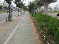 내용 | 남동구청 행정복지센터>구월1동>우리동소식 행사앨범-[논현1동]... 소래포구역길~!!  내용 | 남동구청 행정복지센터>구월1동>우리동소식