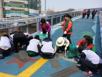 행사앨범-만수1동 새마을부녀회 및 자원봉사자 관내 환경정비 내용 | 남동구청 행정복지센터>구월1동>우리동소식 행사앨범-만수1동... 