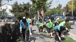 행사앨범-장수서창동 전국체전 대비 Clean-Up Day 운영(2013-10-14) 내용 | 남동구청 행정복지센터>장수서창동>우리동소식 행사앨범... 