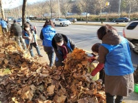 행사앨범-만수6동, 스마일 숲사랑 가로수 지킴이 무네미로 고속도로변 낙엽청소 내용 | 남동구청 행정복지센터>구월4동>우리동소식 행사앨범... 