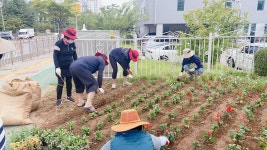 행사앨범-논현2동 가로수지킴이 가을초화 식재 내용 | 남동구청 행정복지센터>구월1동>우리동소식 행사앨범-논현2동 가로수지킴이 가을초화... 