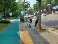 행사앨범-구월3동, 문화예술회관 주변 문화로, 예술로 대로변 잡초 제거 실시 내용 | 남동구청 행정복지센터>구월1동>우리동소식 행사앨범... 