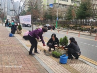 행사앨범-논현고잔동 통장자율회, 봄 초화 식재활동 내용 | 남동구청 행정복지센터>구월1동>우리동소식 행사앨범-논현고잔동 통장자율회, 봄... 