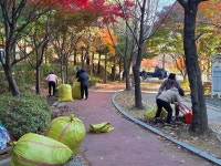 행사앨범-너른들어린이공원 인근 낙엽정비 내용 | 남동구청 행정복지센터>구월1동>우리동소식 행사앨범-너른들어린이공원 인근 낙엽정비   내용... 