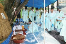 남동구 동정-도당제  내용 | 남동구청 남동PHOTO>남동행사