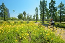 남동구사계-늘솔길공원  내용 | 남동구청 남동PHOTO