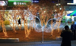 남동구 행사-서창 별빛거리   내용 | 남동구청 남동PHOTO>남동행사