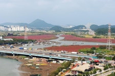 남동구 행사-남동구 논현동 소래포구  내용 | 남동구청 남동PHOTO>남동행사