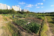 변천사-남동구 실버농장  내용 | 남동구청 남동PHOTO>남동구 아카이브