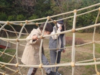 사진&영상 갤러리-어린이생태학교-늘솔길 숲을 느껴보자(2023.11.23) 내용 | 남동구청 늘솔길숲>공원소식 늘솔길 숲 이야기