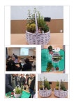 사진&영상 갤러리-힐링원예교실-반려식물가꾸기 5차시(허브정원) 내용 | 남동구청 늘솔길숲>공원소식 늘솔길 숲 이야기
