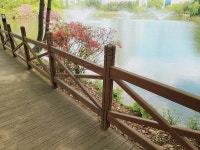 사진&영상 갤러리-늘솔길 숲 이야기의 &quot;봄&quot; 내용 | 남동구청 늘솔길숲>공원소식 늘솔길 숲 이야기