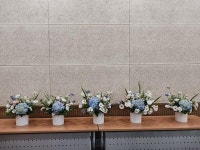 사진&영상 갤러리-여름맞이-4계절 그린테리어(여름편) 내용 | 남동구청 늘솔길숲>공원소식 늘솔길 숲 이야기