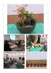 사진&영상 갤러리 목록 | 남동구청 늘솔길숲>공원소식 늘솔길 숲 이야기